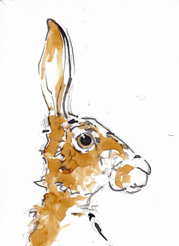 - Ink on Paper, Painting by Suzy Sharpe, measuring 30 x 22 cm (H x W) framed at 55 x 45 cm £195